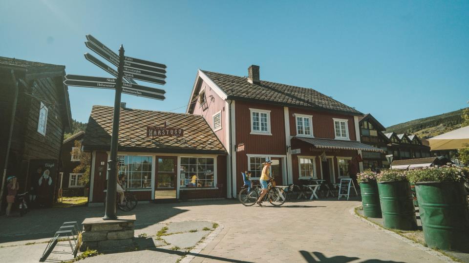 Lenke til artikkel: Sommaren 2026  - foreløpige analyser